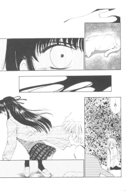 Page 146 of Pochi To Ojou-sama