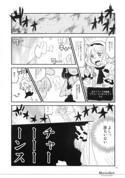 Page 12 of Marecollect