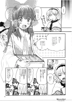 Page 25 of Marecollect