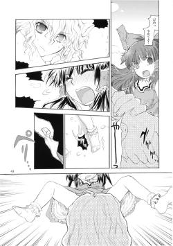 Page 43 of Marecollect