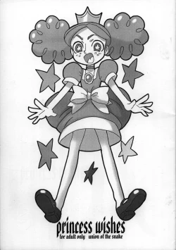 Page 1 of princess wishes