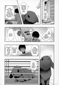 Page 5 of Kanojo ga Dekitara Pet ga Yande Succubus ni Natta Hanashi | When I got a girlfriend, my pet fell ill and became a succubus