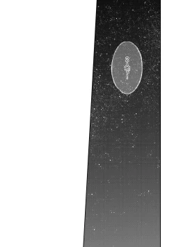 Page 21 of Kimi ga Warau made