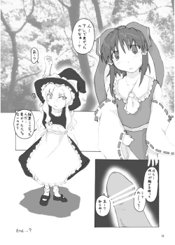 Page 17 of Touhou Dankonju