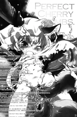 Page 26 of Touhou Youjuuren