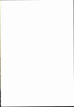 Page 2 of 16Strawberry