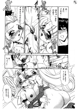 Page 64 of Princess & Lady