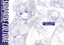 Page 1 of SURPRISE CULTURE