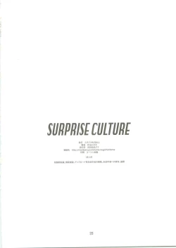Page 25 of SURPRISE CULTURE