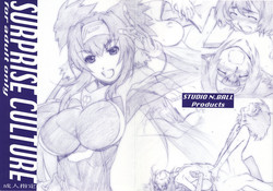 Download SURPRISE CULTURE