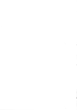 Page 26 of Chi o nurasazu.