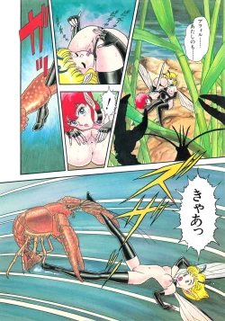 Page 67 of Bondage Fairies 2