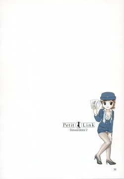 Page 27 of Petit Link 2