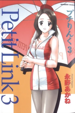 Page 3 of Petit Link 3