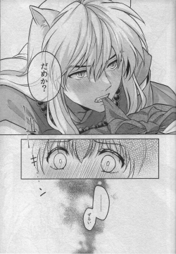 Page 27 of Sengoku Makurazoushi Inu Kago Abunae Hen