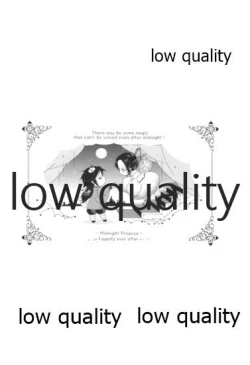 Page 29 of Midnight Prologue