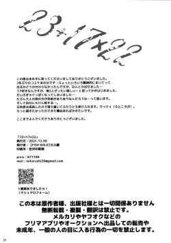 Page 25 of 23+17×22