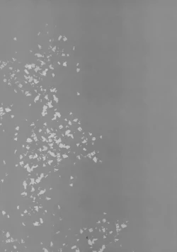 Page 5 of Doukyusei Fuuzoku