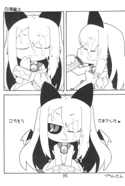 Page 35 of DisBra King