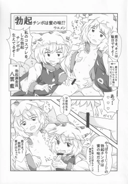 Page 30 of Touhou Honmono × CJD Goudou Gensou Shoujo ha CJD ga Osuki 2