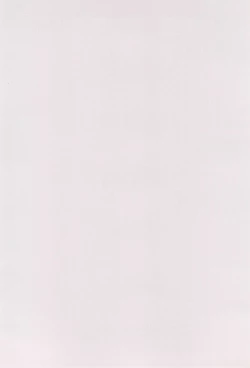 Page 4 of White Flats 2000