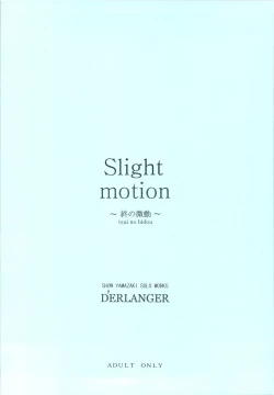 Page 20 of Slight motion