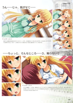 Page 31 of NobleWorks Official Visual Fanbook