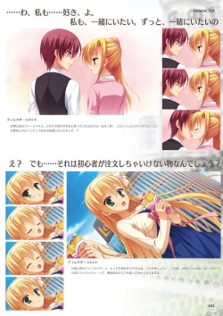 Page 33 of NobleWorks Official Visual Fanbook