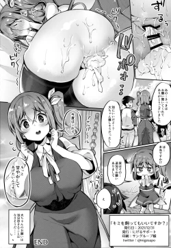 Page 21 of Kimi o Kattemo Iidesuka?