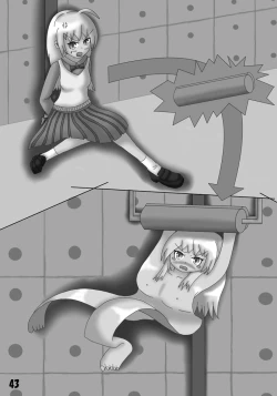 Page 43 of Henkaya Honpo