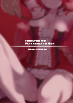 Page 32 of Yousei Kishi Tristan o Wakaraseru Hon | Making Fairy Knight Tristan Understand