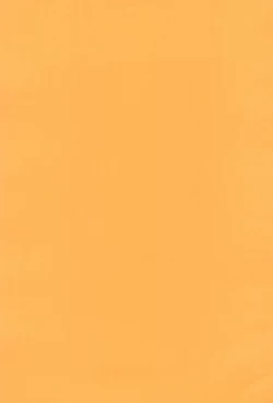 Page 49 of Tsuno Tsuno