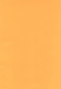 Page 4 of Tsuno Tsuno