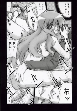 Page 16 of Zerol Version 1.5