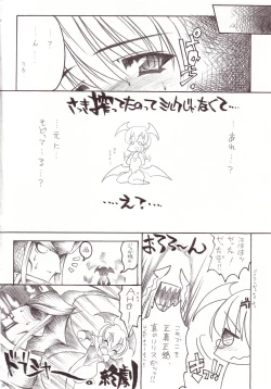 Page 29 of Shiruhime Daizenshuu