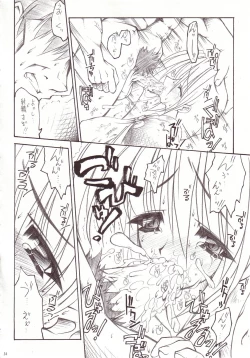 Page 33 of Shiruhime Daizenshuu