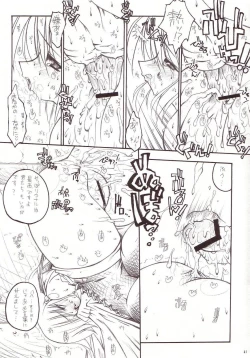 Page 40 of Shiruhime Daizenshuu