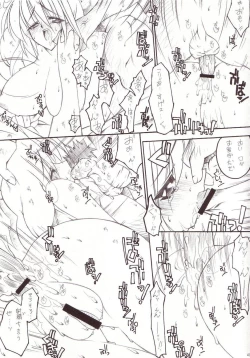 Page 42 of Shiruhime Daizenshuu