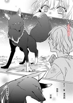 Page 12 of 鴫タヌキ 妖狐さまの華夜女 妖狐大人的華夜女01 【霧吹弥生漢化組】