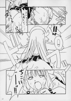 Page 46 of Kenko Daiichi