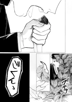 Page 11 of Warau Camellia