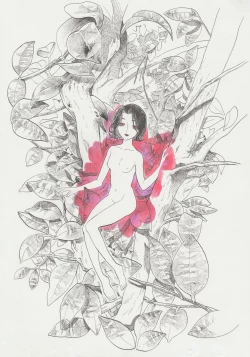 Page 13 of Warau Camellia