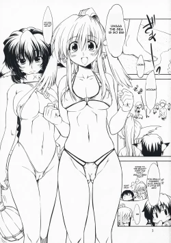 Page 2 of Hashokukei | Leaf games