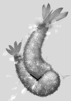 Page 21 of Ebi Fry Sou Uke Anthology | The Anthology of Fried Shrimp Really Getting Around