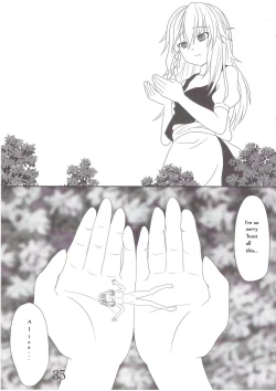 Page 35 of Touhou Super DreadnaughtGirl English