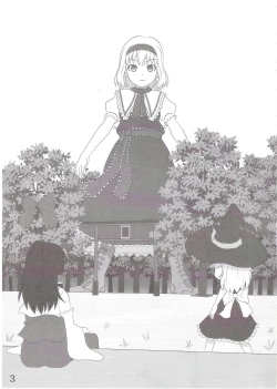 Page 3 of Touhou Super DreadnaughtGirl English