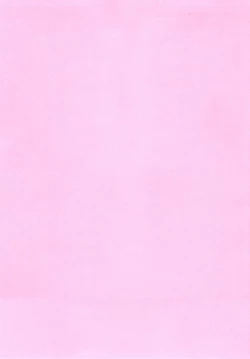 Page 2 of Tensai Chuugakusei no Tenga naru Shoudou