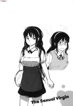 Page 109 of Seinaru OtomeThe Sexual Virgins