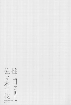 Page 23 of Sei ni Mezameta Sasaki Chie