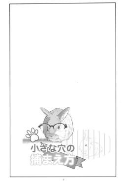 Page 3 of Chiisana Ana no Tsukamaekata